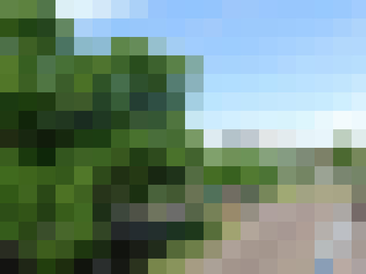 Image 20