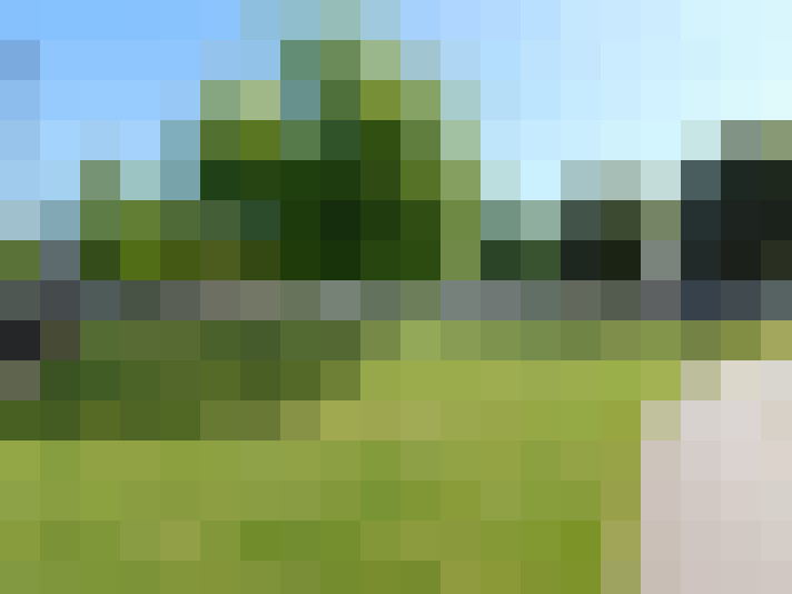 Image 22
