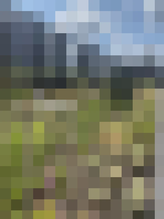 Image 31