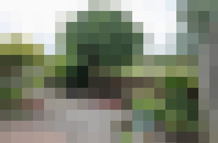 Image 31