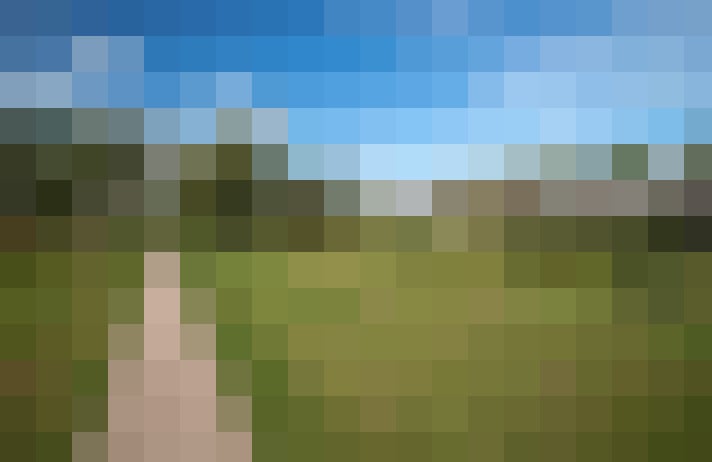 Image 29
