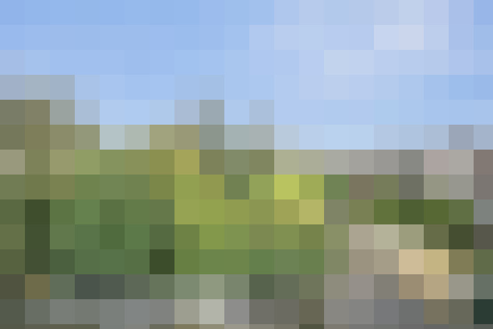 Image 33