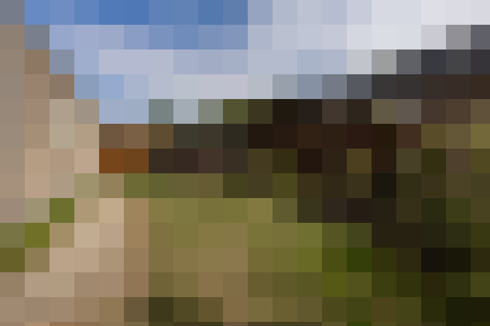Image 36