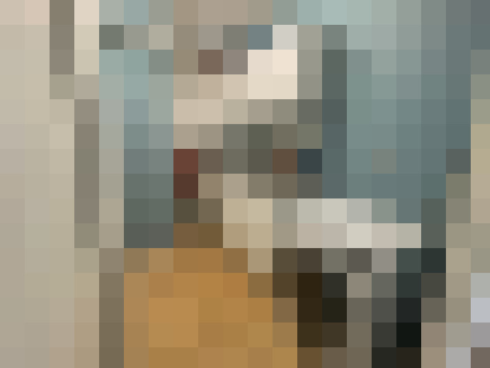 Image 27
