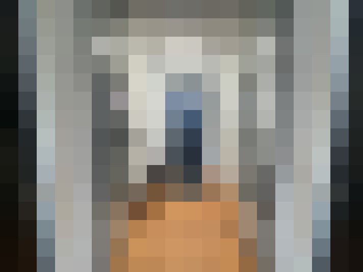 Image 29