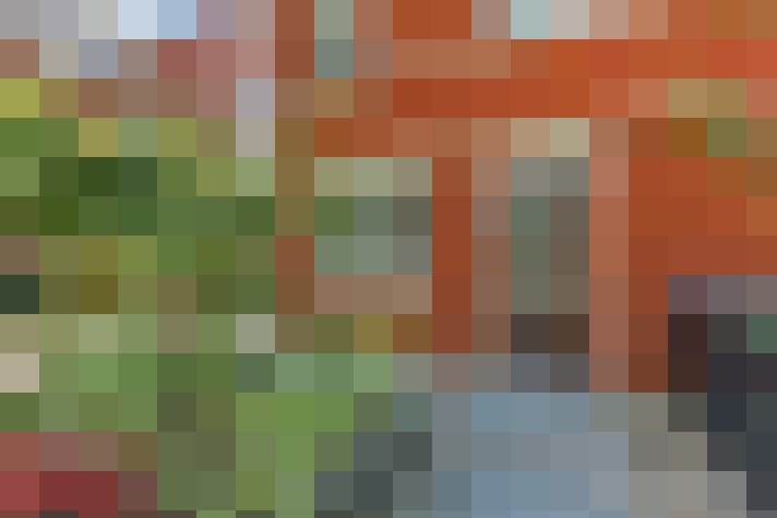 Image 41