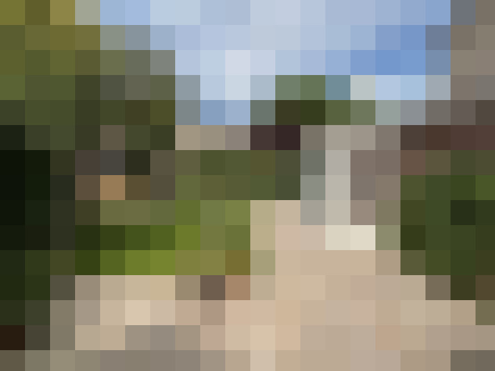 Image 22