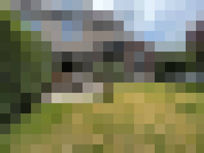 Image 20