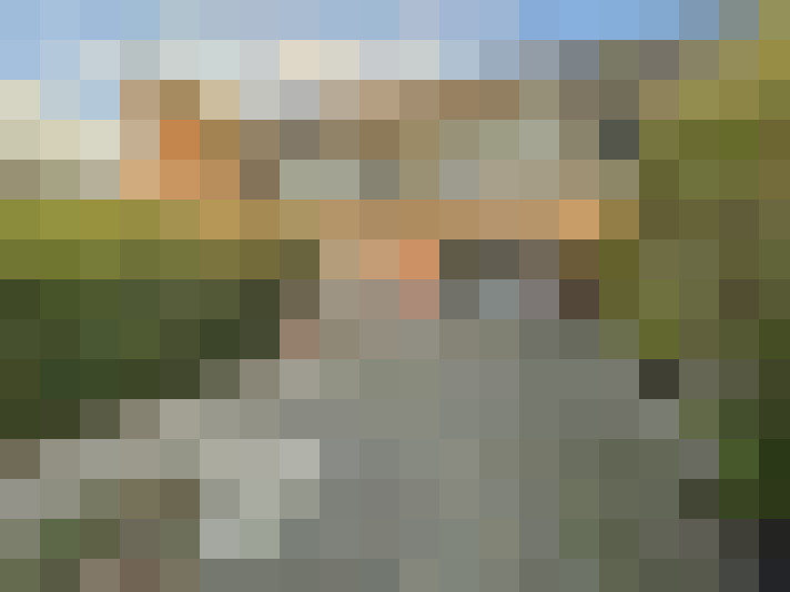Image 14