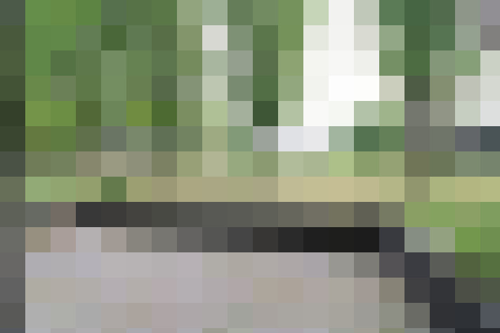 Image 24