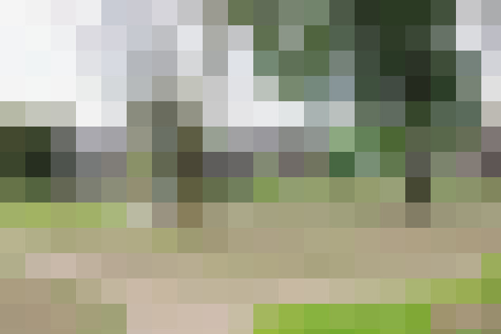 Image 25
