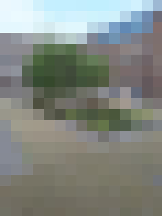 Image 32