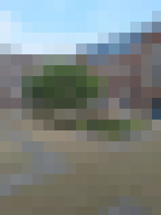 Image 31