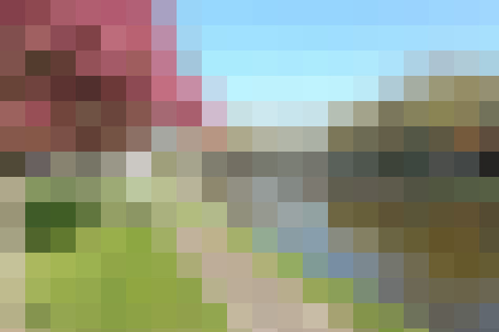 Image 37
