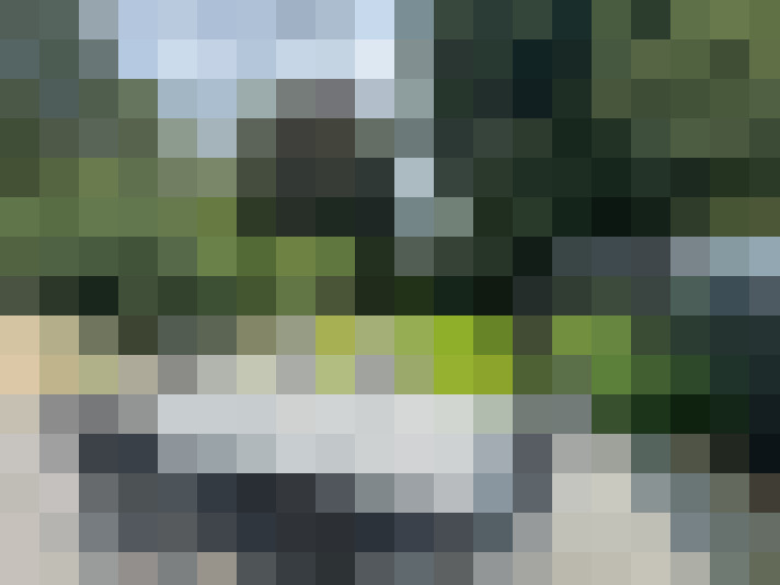 Image 30