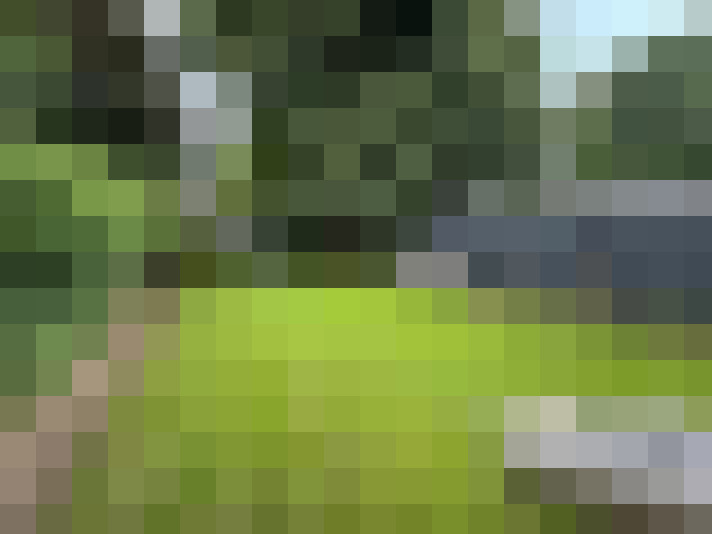 Image 27