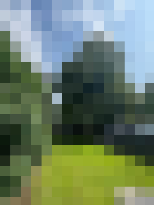 Image 28