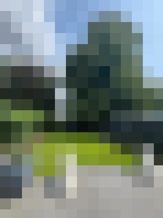 Image 31
