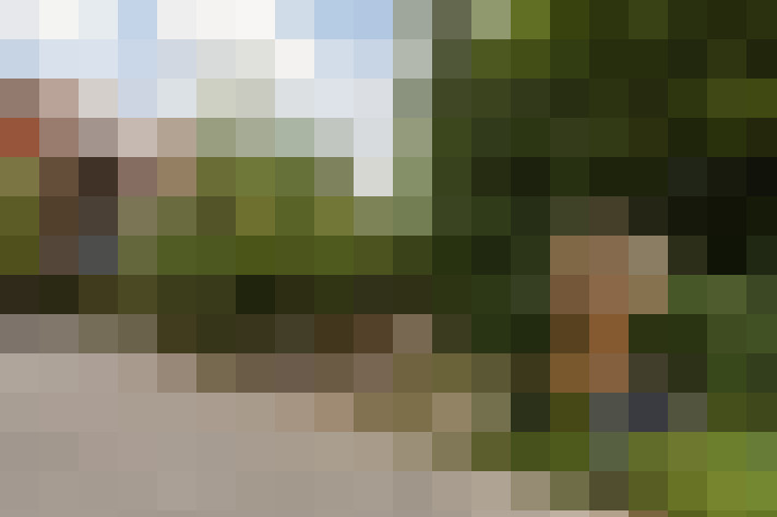 Image 36