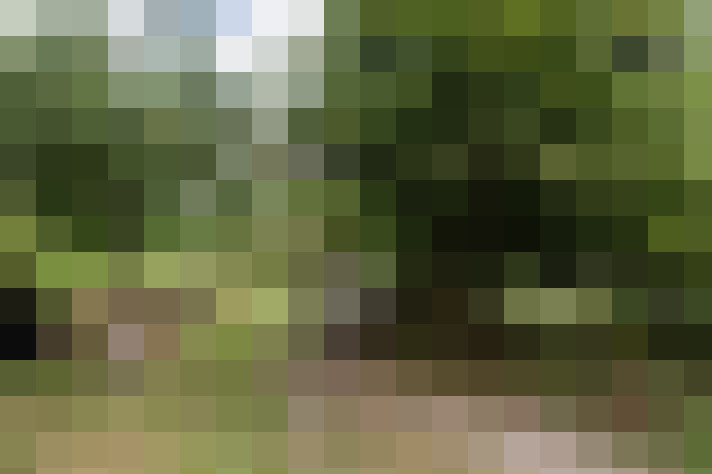 Image 39