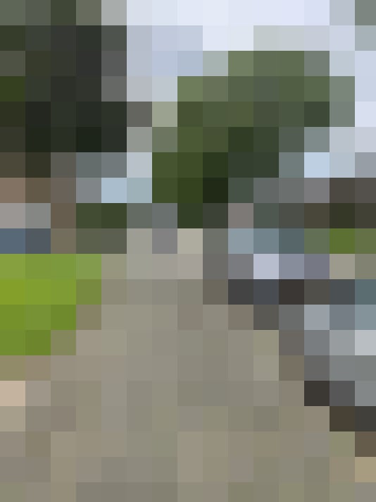 Image 16