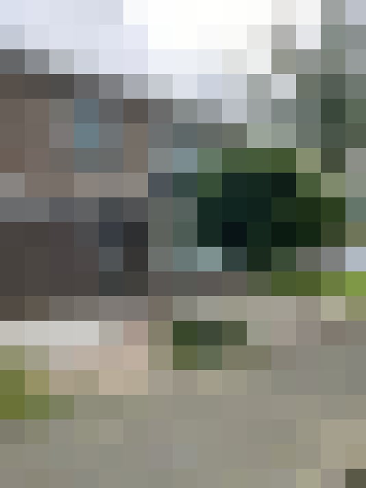 Image 15