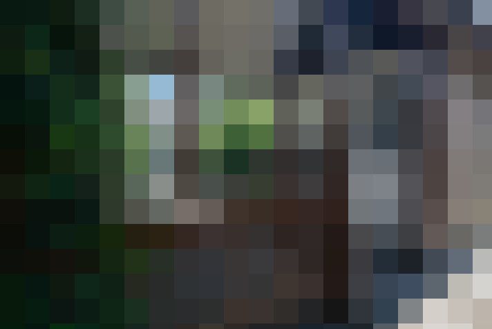 Image 33