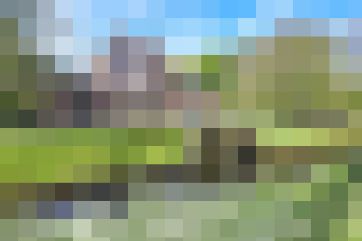 Image 20