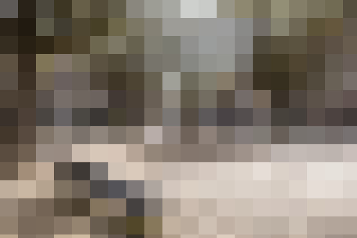 Image 23