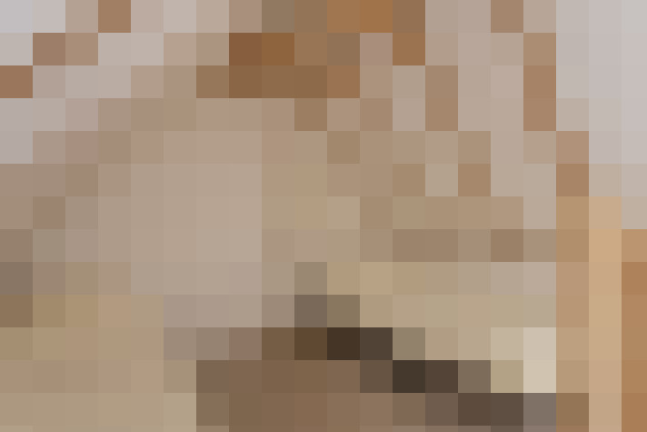 Image 32