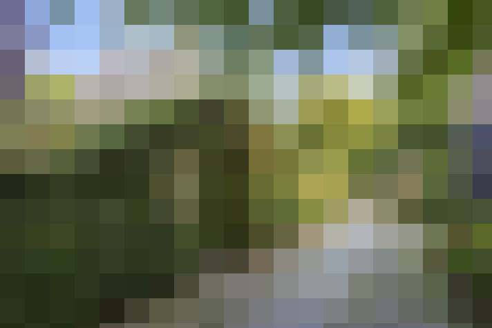 Image 39