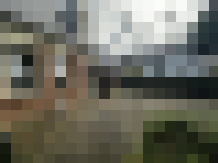 Image 20