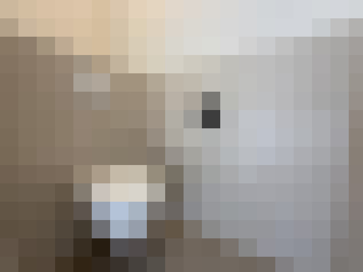 Image 13