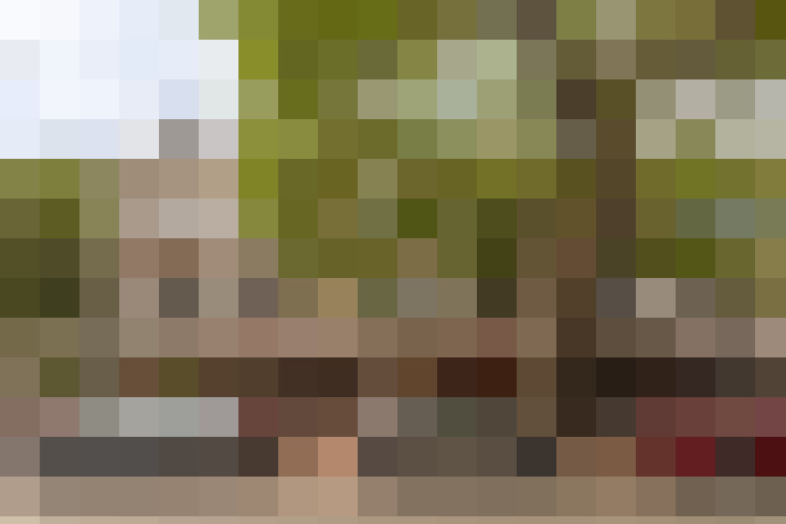 Image 41