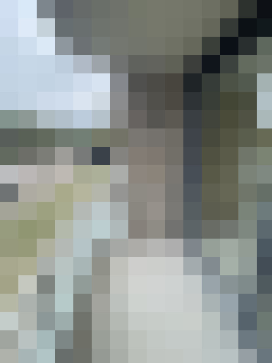 Image 13