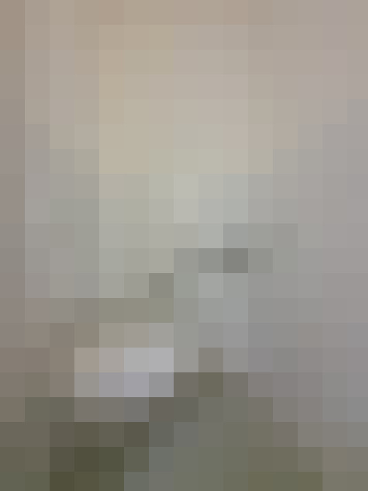 Image 14