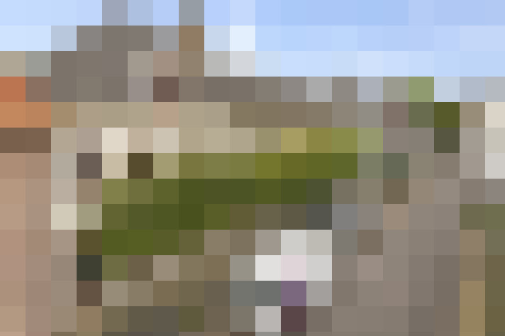 Image 21