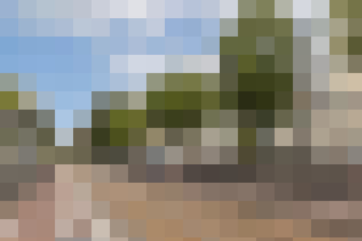 Image 24