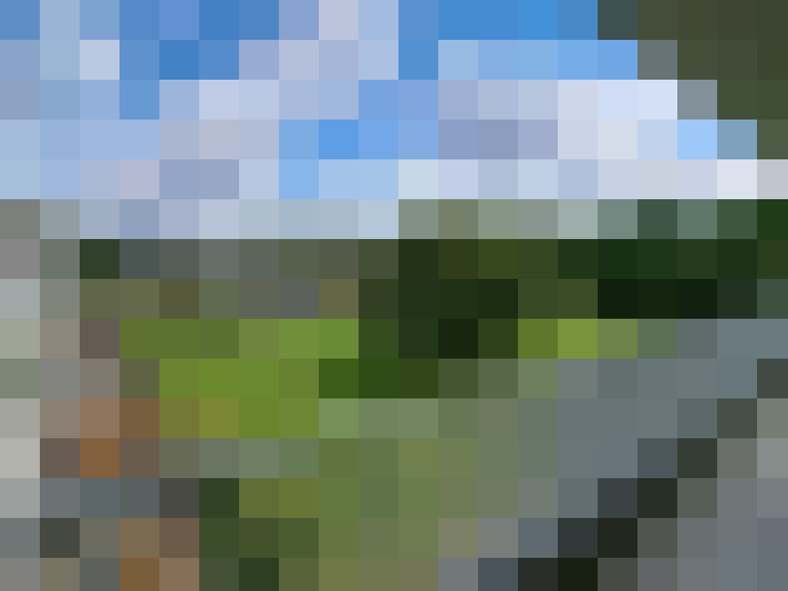 Image 15