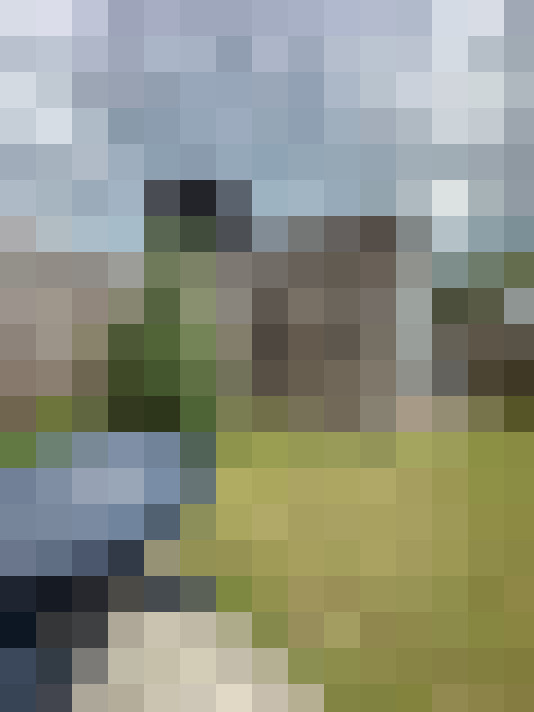 Image 21