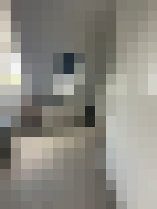 Image 17