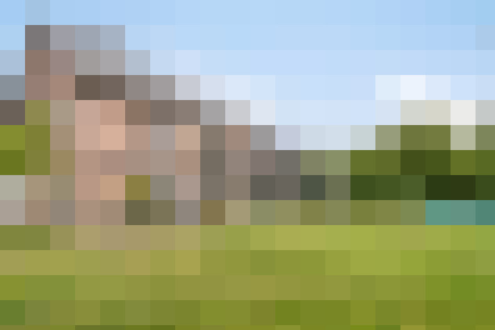 Image 36