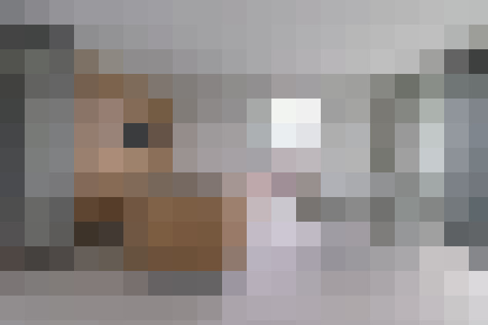 Image 20