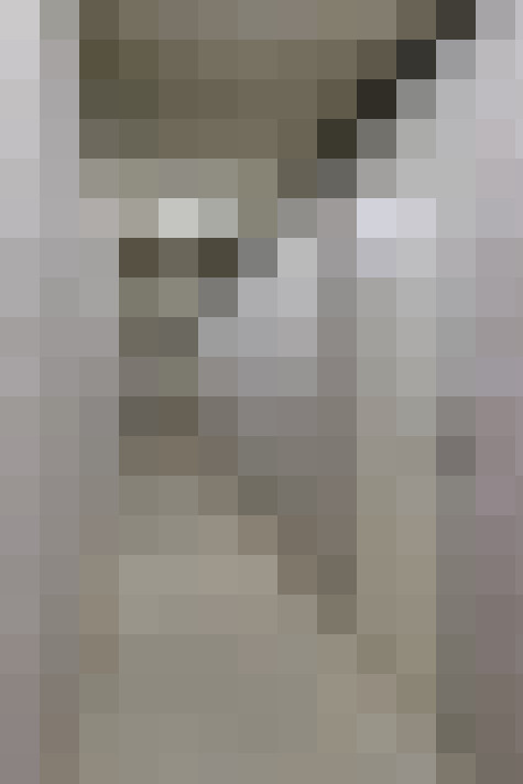Image 46