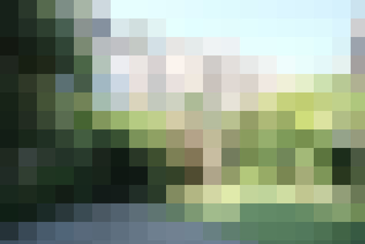 Image 17