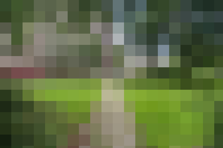 Image 30
