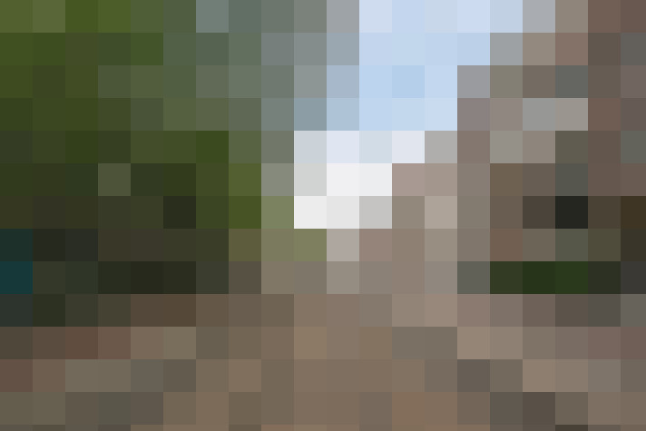 Image 25