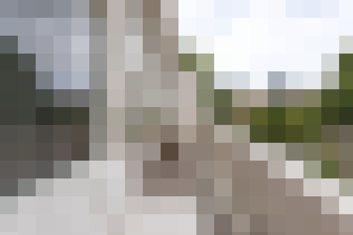 Image 15
