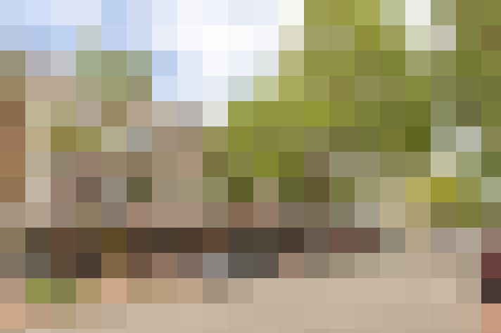 Image 42