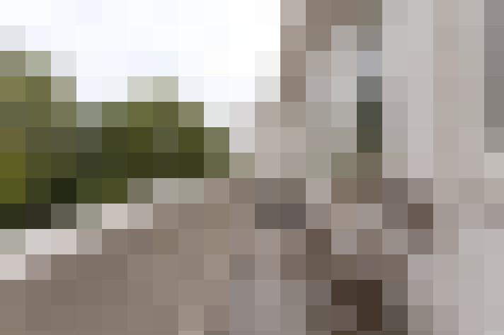 Image 13